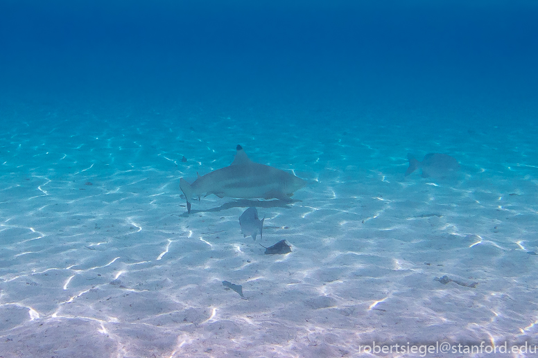 micronesia 2018